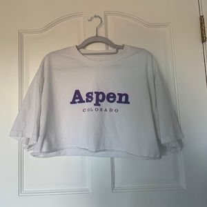 BRANDY MELVILLE ASPEN COLORADO CROP